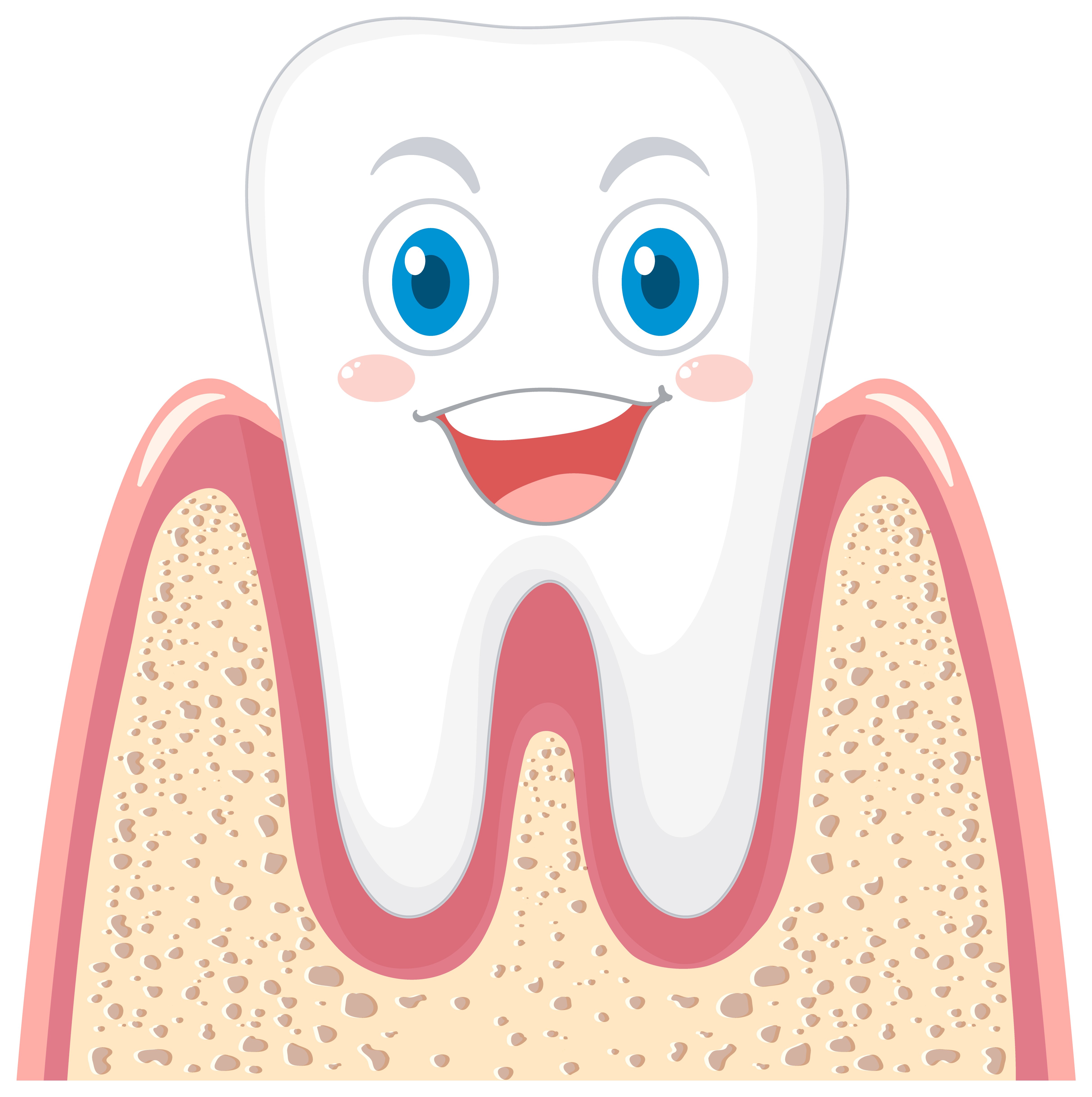 Dentist